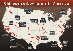 Soyboy farms in America